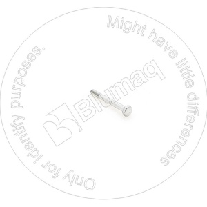 0102011095_original
